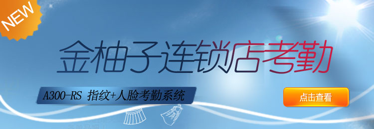 互联网考勤系统A300连锁店系列